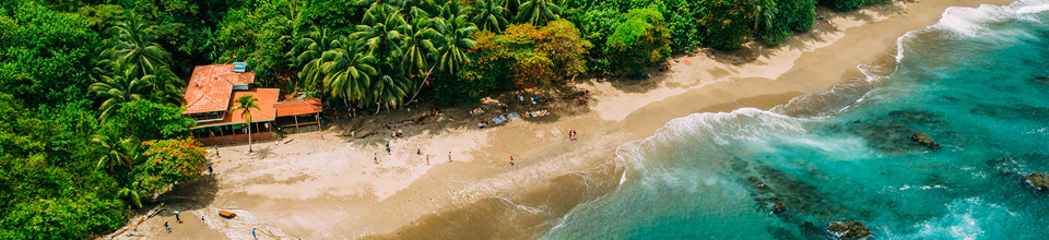 Destino costero con una playa de arena, palmeras y aguas cristalinas.